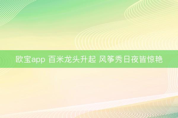 欧宝app 百米龙头升起 风筝秀日夜皆惊艳