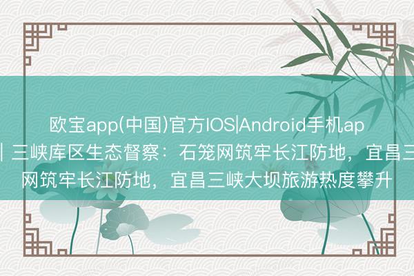 欧宝app(中国)官方IOS|Android手机app下载 2026 年 6 月｜三峡库区生态督察：石笼网筑牢长江防地，宜昌三峡大坝旅游热度攀升