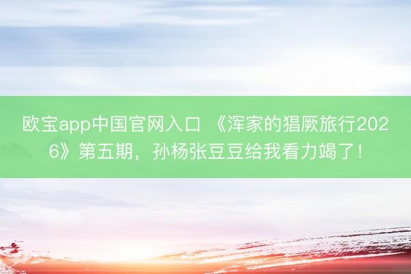 欧宝app中国官网入口 《浑家的猖厥旅行2026》第五期，孙杨张豆豆给我看力竭了！