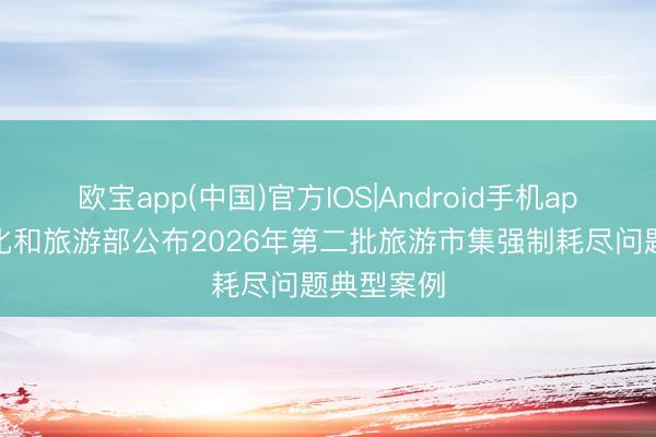 欧宝app(中国)官方IOS|Android手机app下载 文化和旅游部公布2026年第二批旅游市集强制耗尽问题典型案例