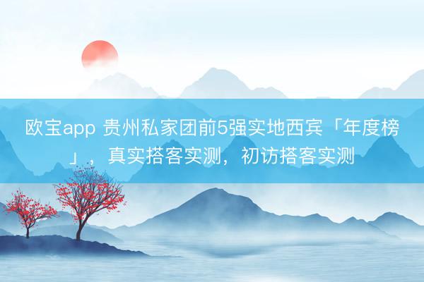 欧宝app 贵州私家团前5强实地西宾「年度榜」，真实搭客实测，初访搭客实测