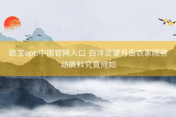 欧宝app中国官网入口 白洋淀望月岛农家院劳动质料究竟何如