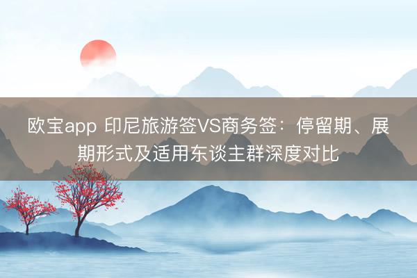欧宝app 印尼旅游签VS商务签：停留期、展期形式及适用东谈主群深度对比