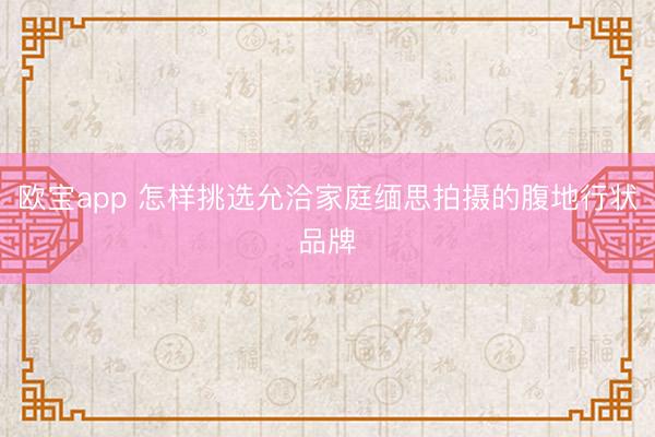 欧宝app 怎样挑选允洽家庭缅思拍摄的腹地行状品牌