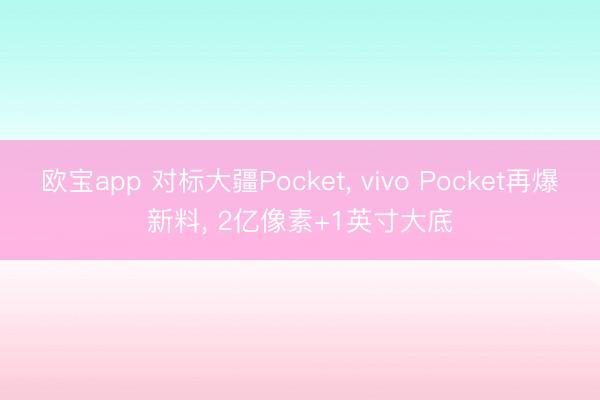 欧宝app 对标大疆Pocket， vivo Pocket再爆新料， 2亿像素+1英寸大底
