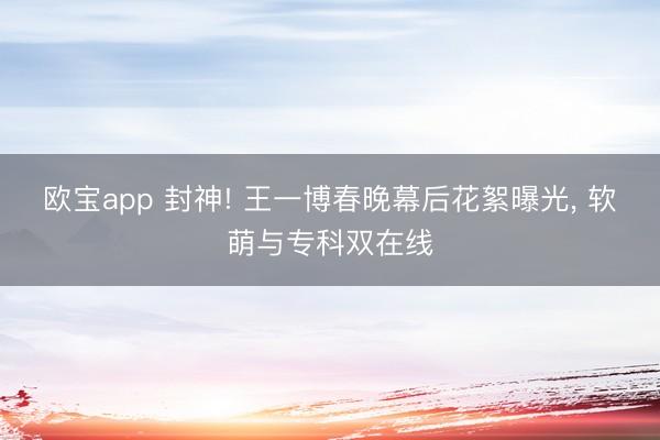 欧宝app 封神! 王一博春晚幕后花絮曝光， 软萌与专科双在线