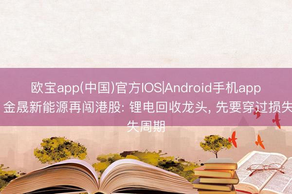 欧宝app(中国)官方IOS|Android手机app下载 金晟新能源再闯港股: 锂电回收龙头， 先要穿过损失周期