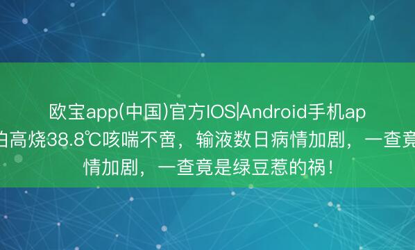 欧宝app(中国)官方IOS|Android手机app下载 69岁老伯高烧38.8℃咳喘不啻，输液数日病情加剧，一查竟是绿豆惹的祸！