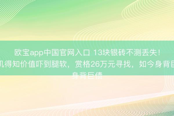 欧宝app中国官网入口 13块银砖不测丢失！司机得知价值吓到腿软，赏格26万元寻找，如今身背巨债