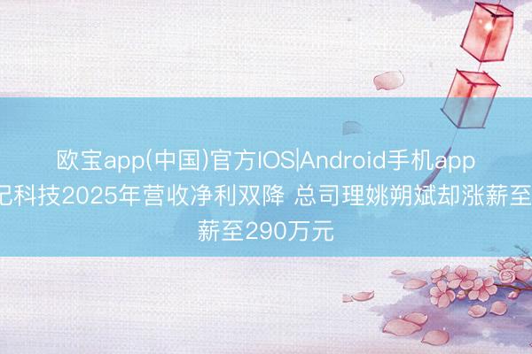 欧宝app(中国)官方IOS|Android手机app下载 姚记科技2025年营收净利双降 总司理姚朔斌却涨薪至290万元