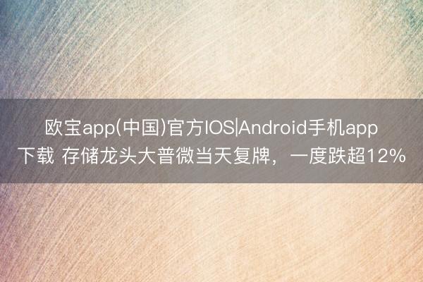 欧宝app(中国)官方IOS|Android手机app下载 存储龙头大普微当天复牌，一度跌超12%