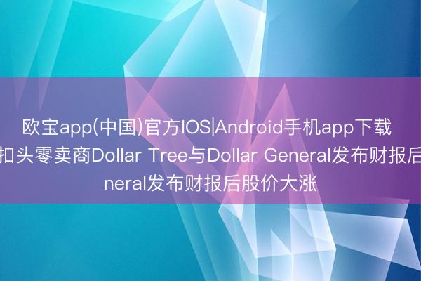 欧宝app(中国)官方IOS|Android手机app下载 好意思股扣头零卖商Dollar Tree与Dollar General发布财报后股价大涨