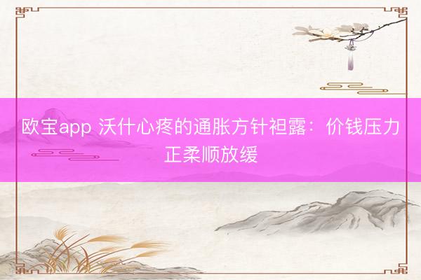 欧宝app 沃什心疼的通胀方针袒露：价钱压力正柔顺放缓