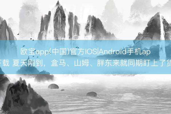 欧宝app(中国)官方IOS|Android手机app下载 夏天刚到，盒马、山姆、胖东来就同期盯上了货架