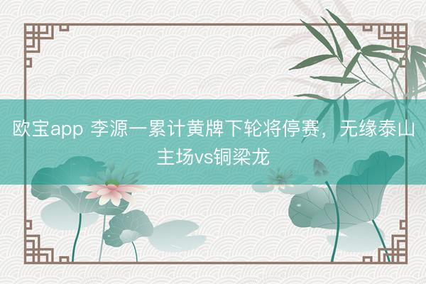 欧宝app 李源一累计黄牌下轮将停赛,无缘泰山主场vs铜梁龙