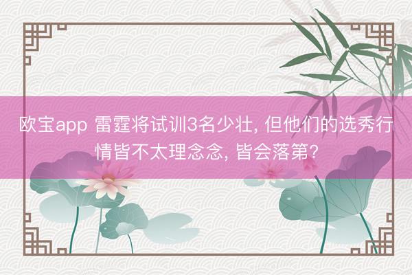 欧宝app 雷霆将试训3名少壮， 但他们的选秀行情皆不太理念念， 皆会落第?