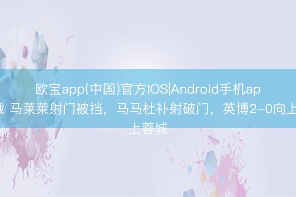 欧宝app(中国)官方IOS|Android手机app下载 马莱莱射门被挡，马马杜补射破门，英博2-0向上蓉城