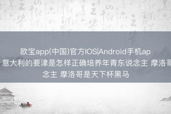 欧宝app(中国)官方IOS|Android手机app下载 维埃里: 意大利的要津是怎样正确培养年青东说念主 摩洛哥是天下杯黑马