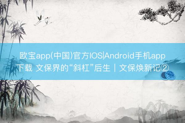 欧宝app(中国)官方IOS|Android手机app下载 文保界的“斜杠”后生|文保焕新记②