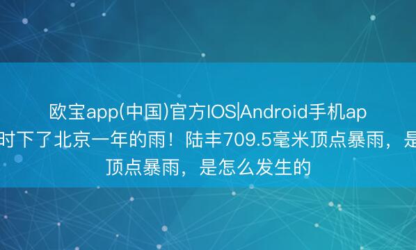 欧宝app(中国)官方IOS|Android手机app下载 36小时下了北京一年的雨！陆丰709.5毫米顶点暴雨，是怎么发生的