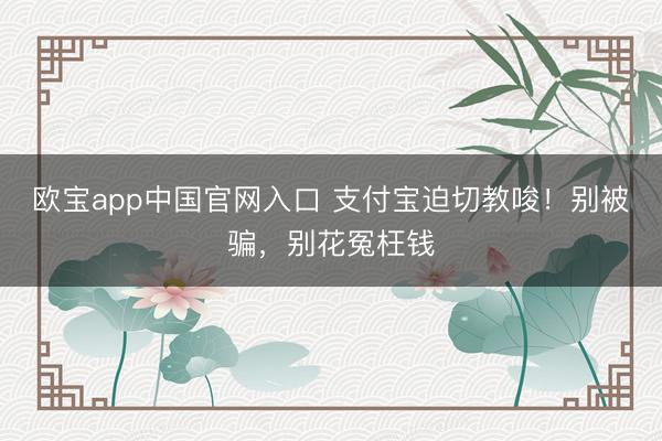 欧宝app中国官网入口 支付宝迫切教唆！别被骗，别花冤枉钱