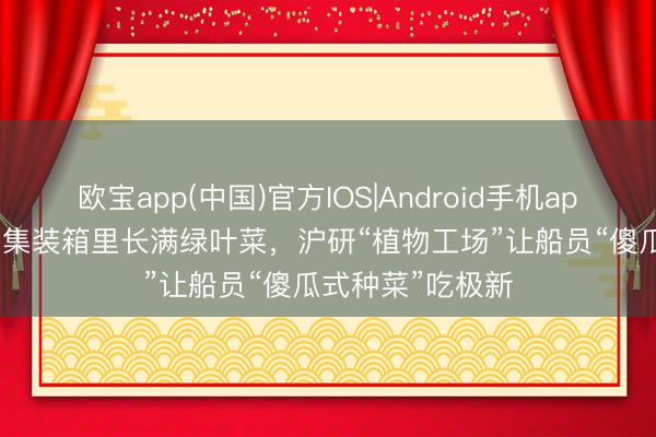 欧宝app(中国)官方IOS|Android手机app下载 “大洋号”集装箱里长满绿叶菜，沪研“植物工场”让船员“傻瓜式种菜”吃极新